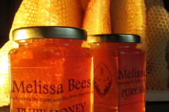 Chemical & Treatment-Free Hive Honey