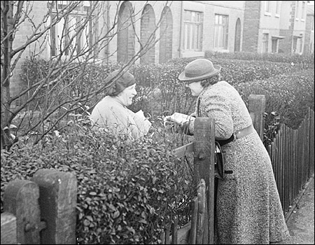 women-talking-at-fence.jpg