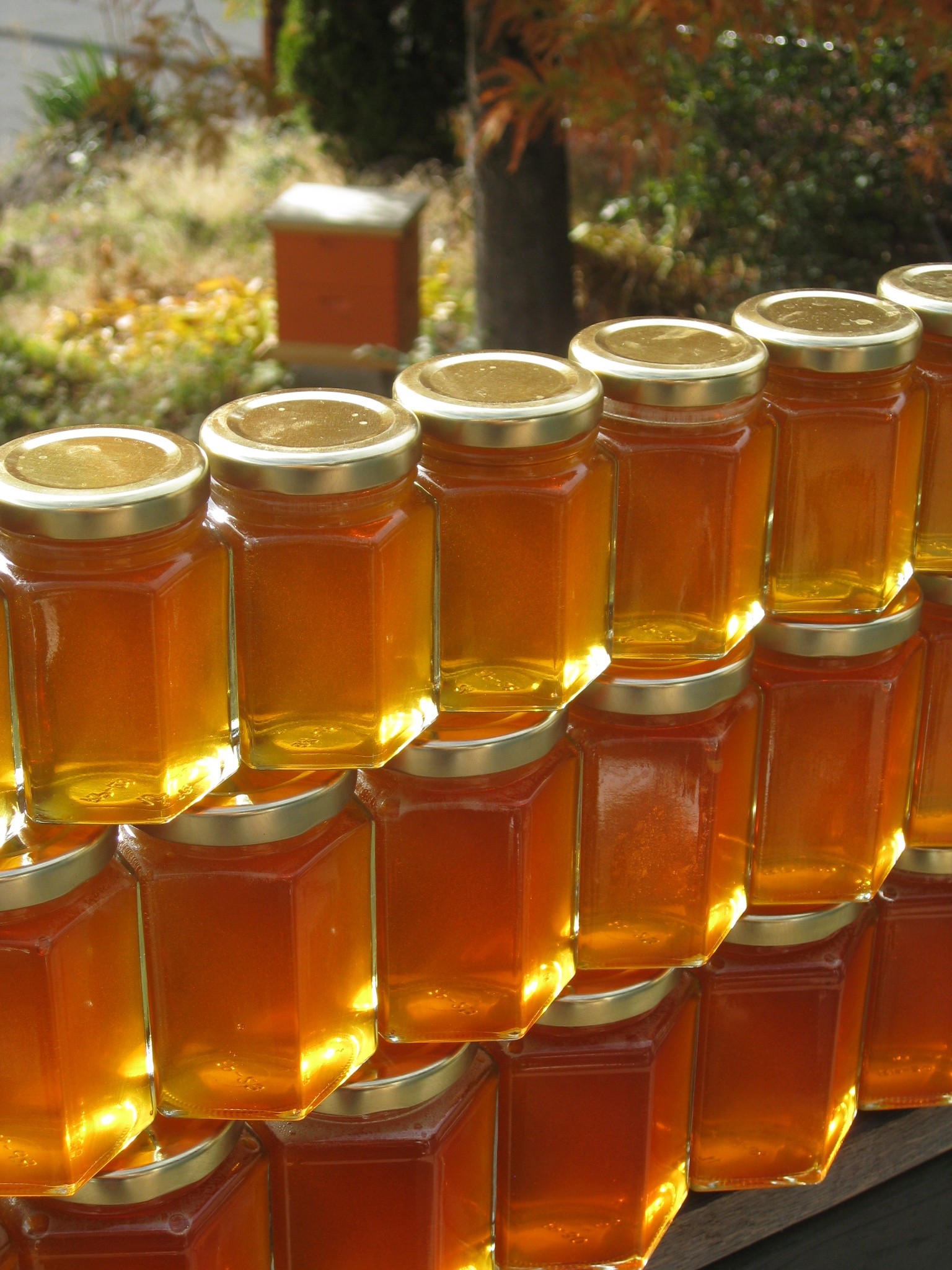 Honey Harvest 2012 Class- Sat. Oct. 13th @ Grow Organic Store- Hood River